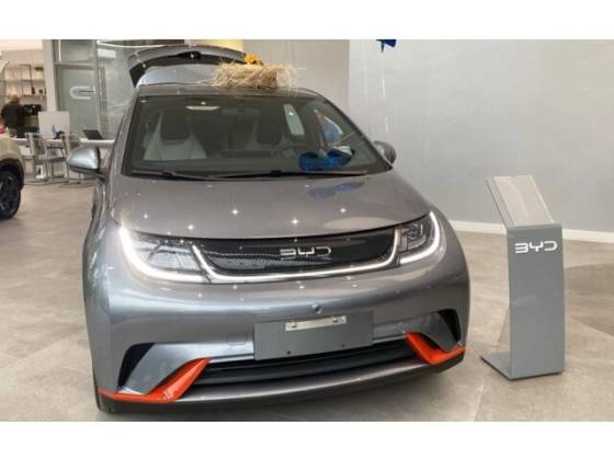 BYD DOLPHIN MINI 38 KW ELÉTRICO 5L BYD DOLPHIN MINI 38 KW ELÉTRICO 5L